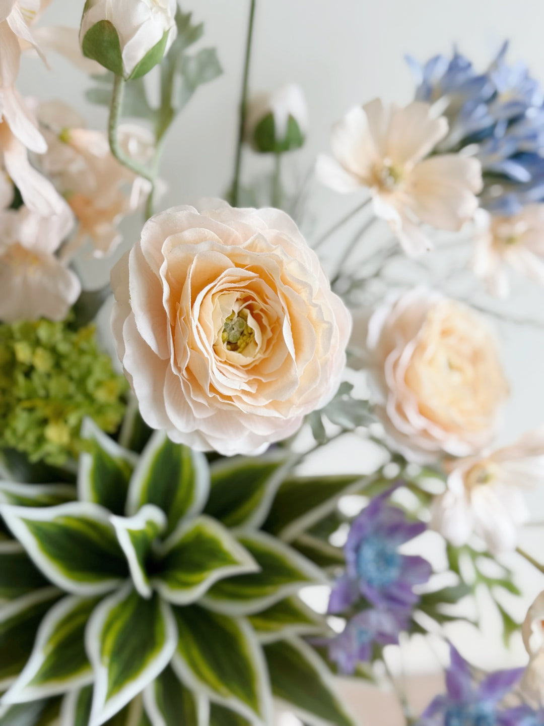 Aurora Veil in the Vase (1-sided)