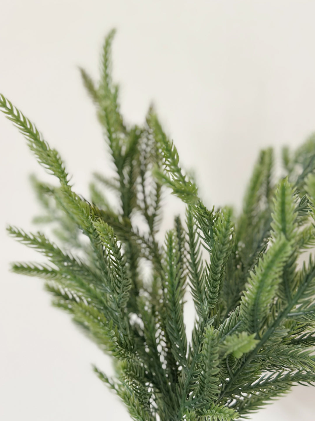 Everpine Botanical Stem