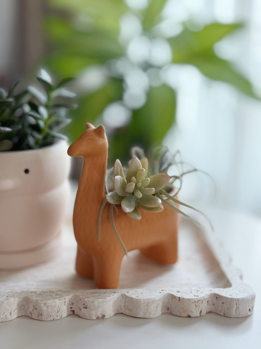 Sunny the Llama Mini Planter