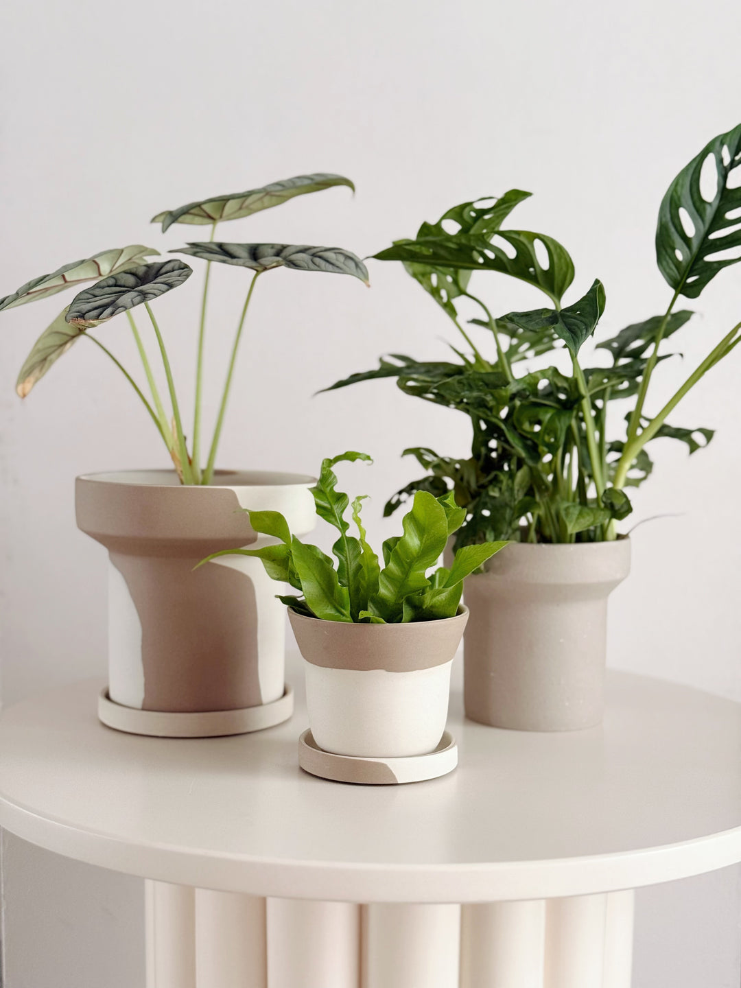 Stillflow Planter with Saucer