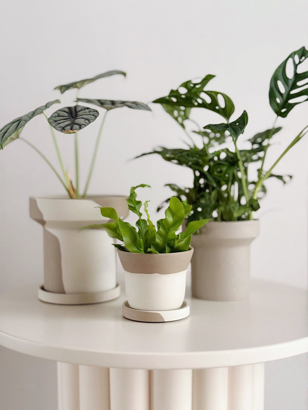 Stillflow Planter with Saucer