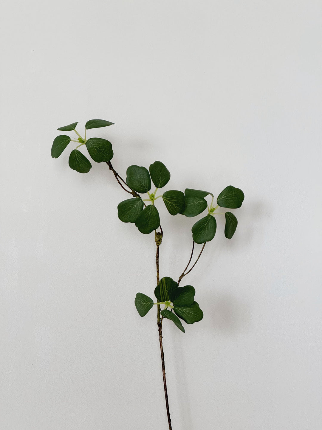 Faux Japanese Enkianthus Quinqueflorus (3 sizes)