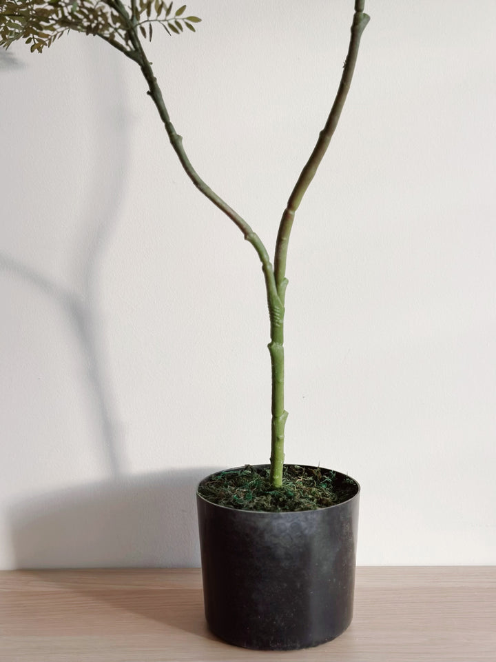 Potted Faux Jacaranda Mimosifolia Tree 1m