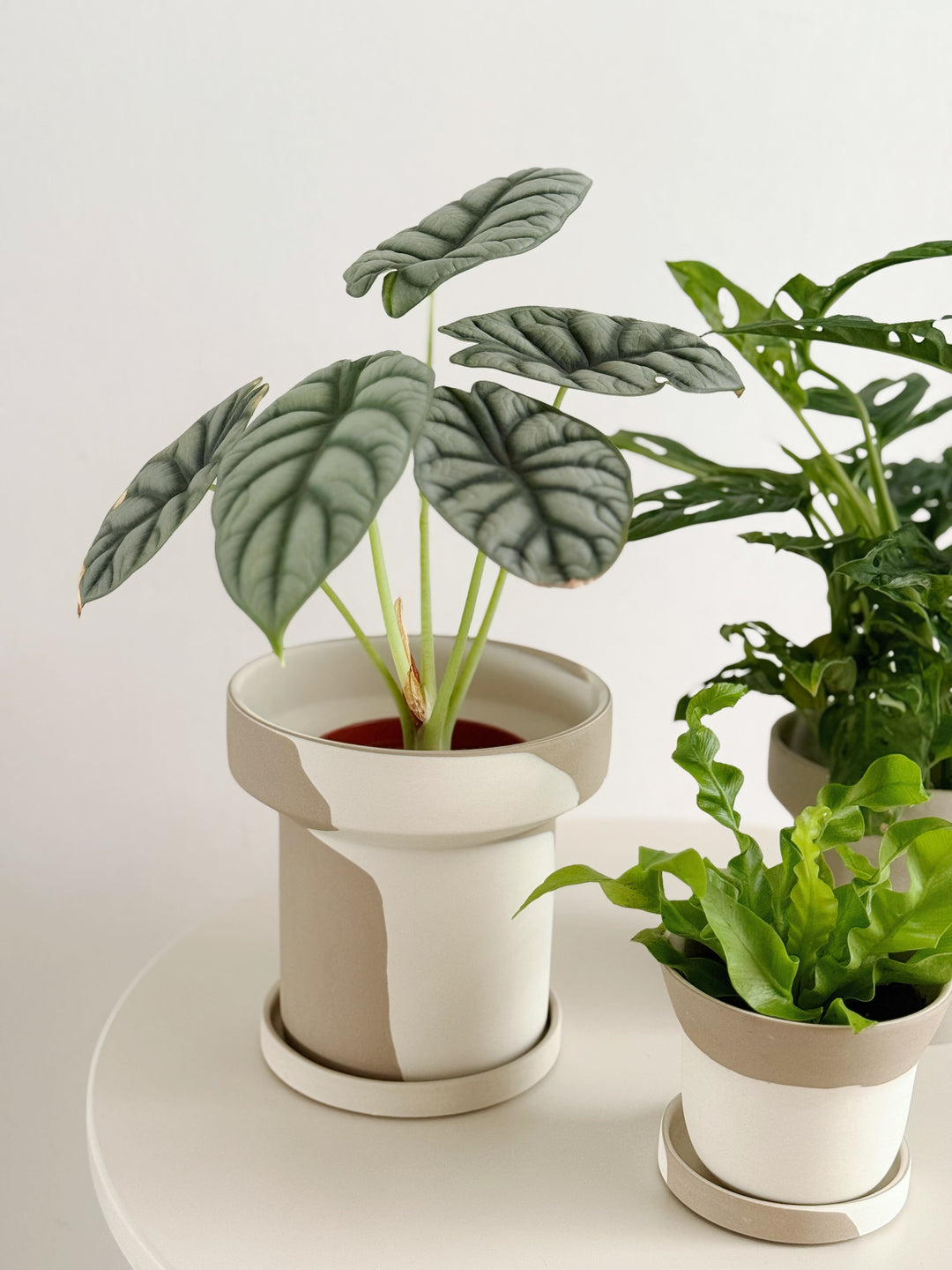 Stillflow Planter with Saucer