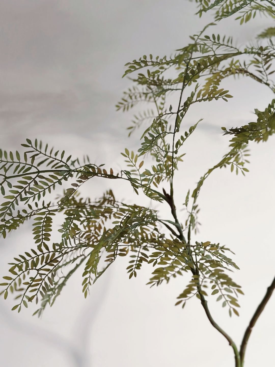 Potted Faux Jacaranda Mimosifolia Tree 1m