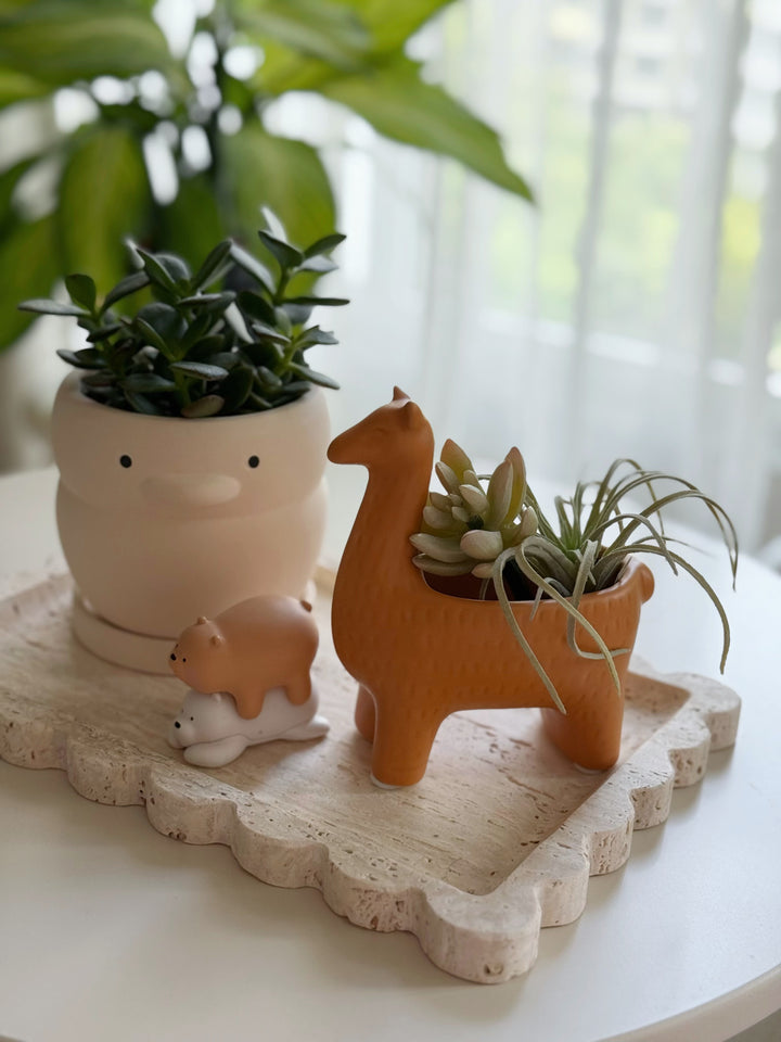 Sunny the Llama Mini Planter