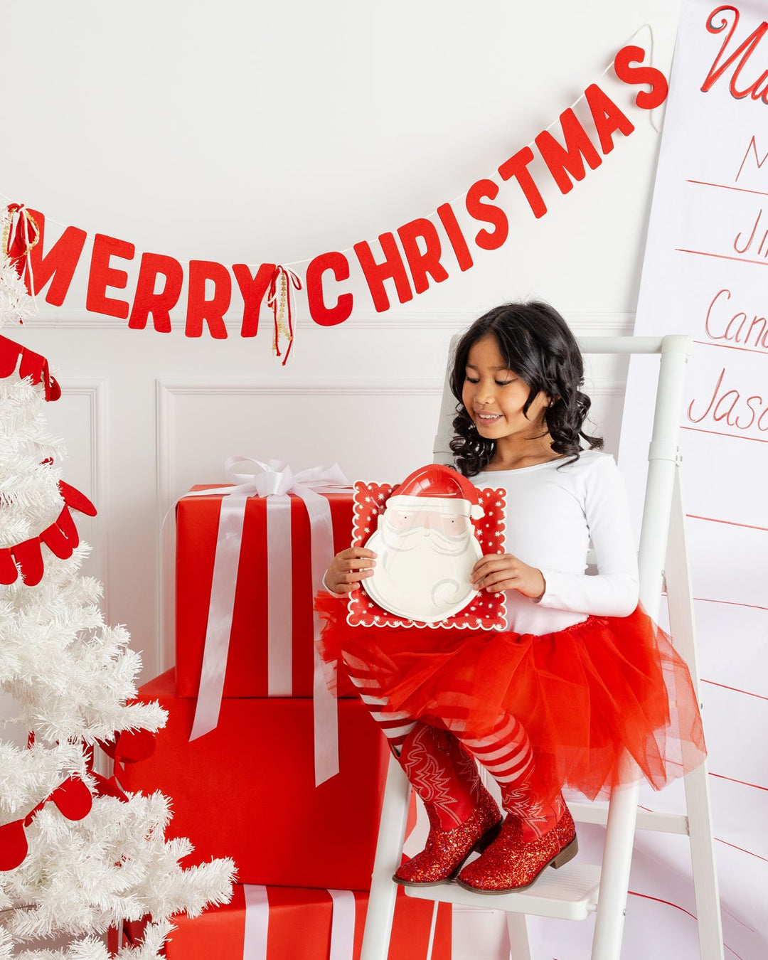 Santa Head Paper Plate