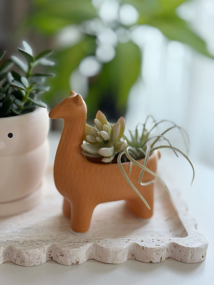 Sunny the Llama Mini Planter