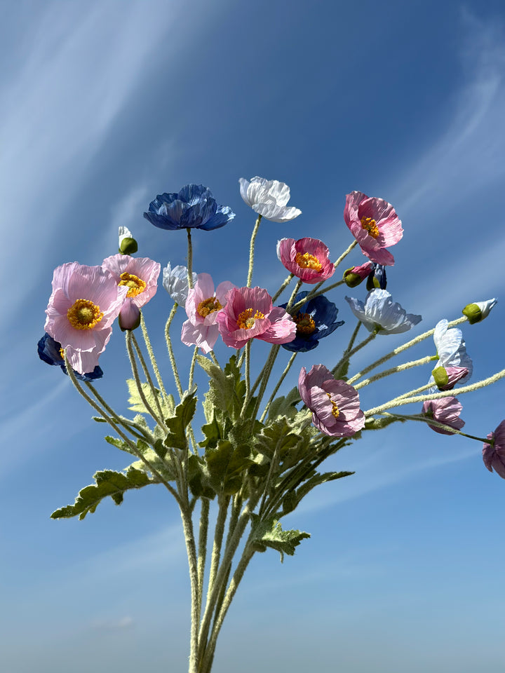 Pastel Poppy (6 colours)