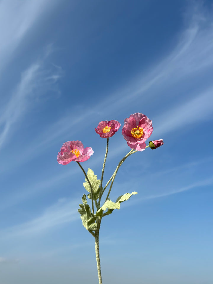 Pastel Poppy (6 colours)
