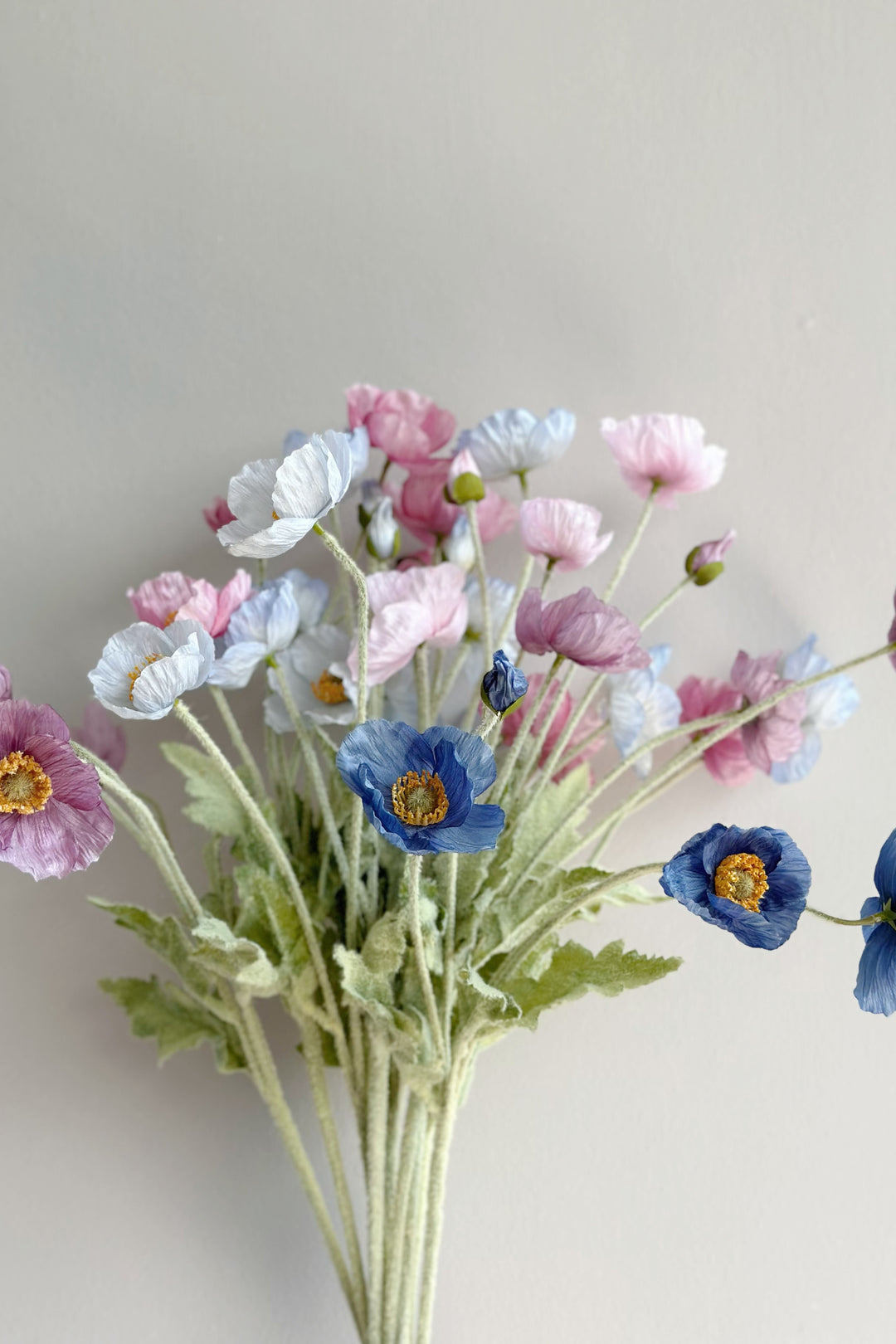 Pastel Poppy (6 colours)