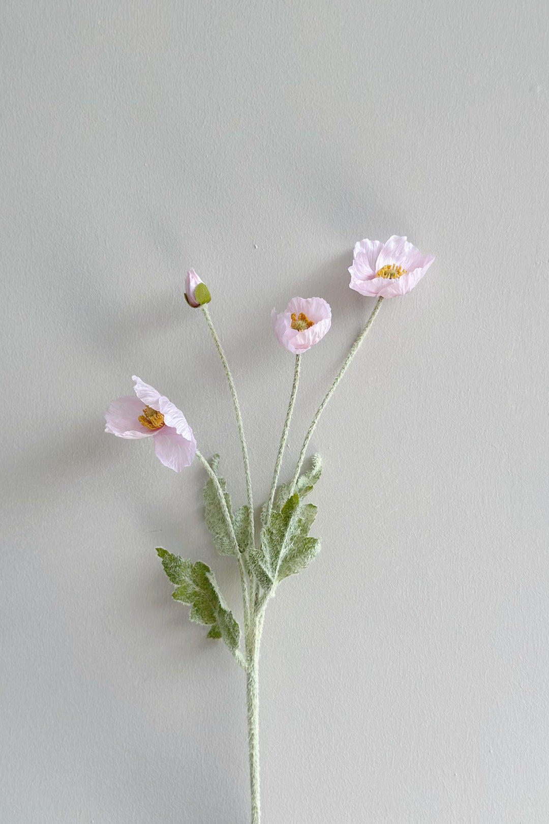 Pastel Poppy (6 colours)