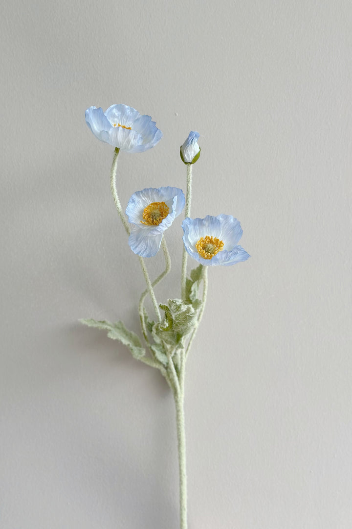 Pastel Poppy (6 colours)