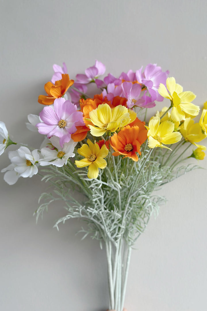 Garden Cosmos Flowers (5 colours)