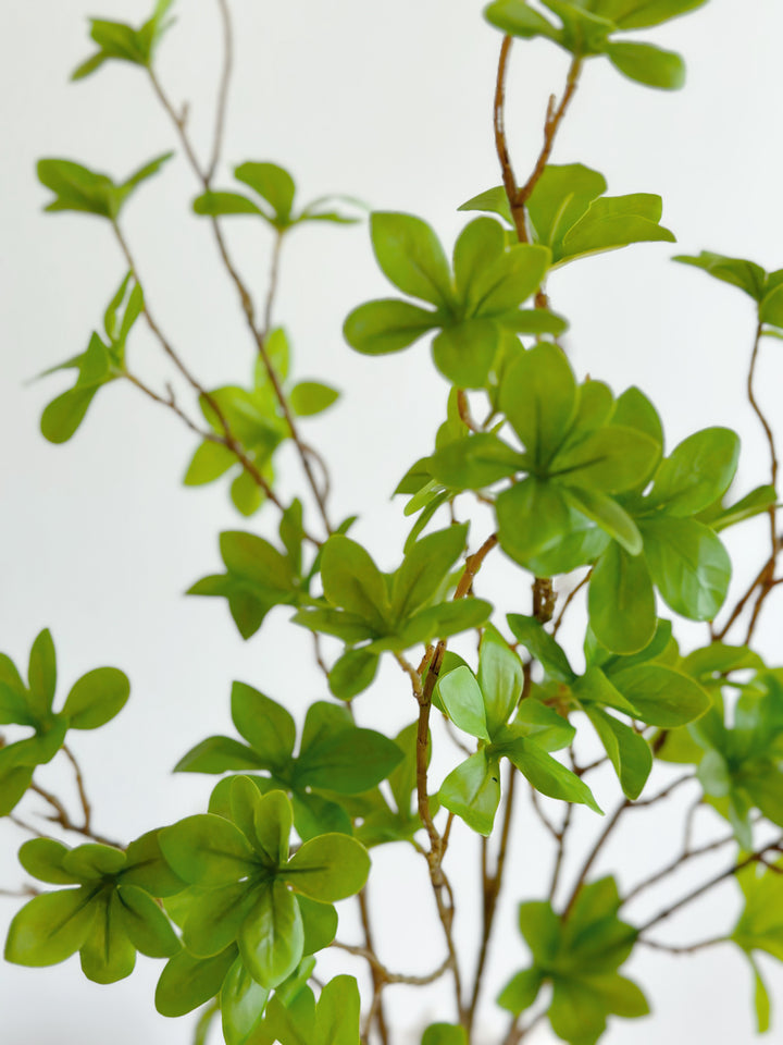 FlexiFoliage Enkianthus Quinqueflorus Replica Branches 78cm