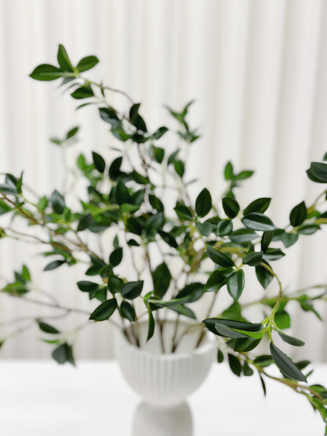 Faux Camellia Branches 65cm