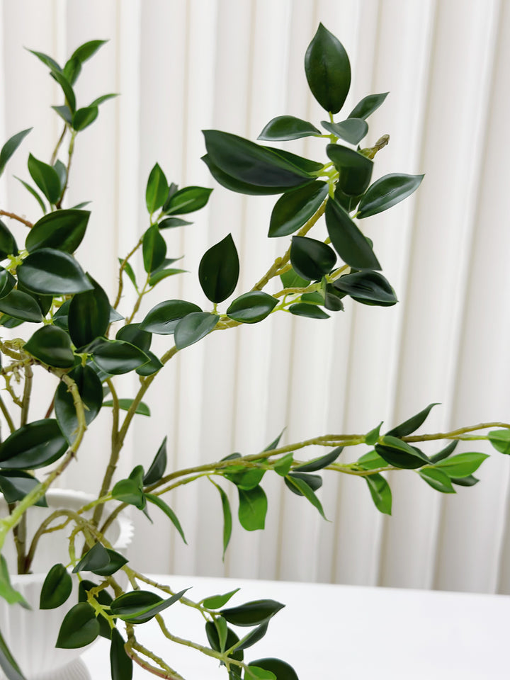 Faux Camellia Branches 65cm