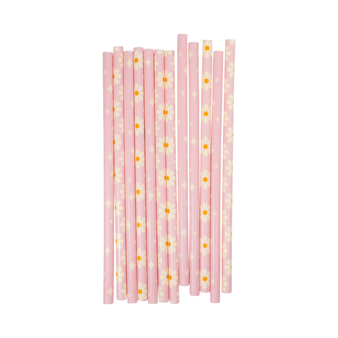 Disco Daisy Reusable Straws