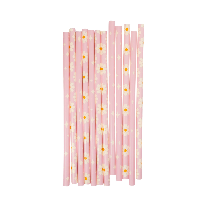 Disco Daisy Reusable Straws