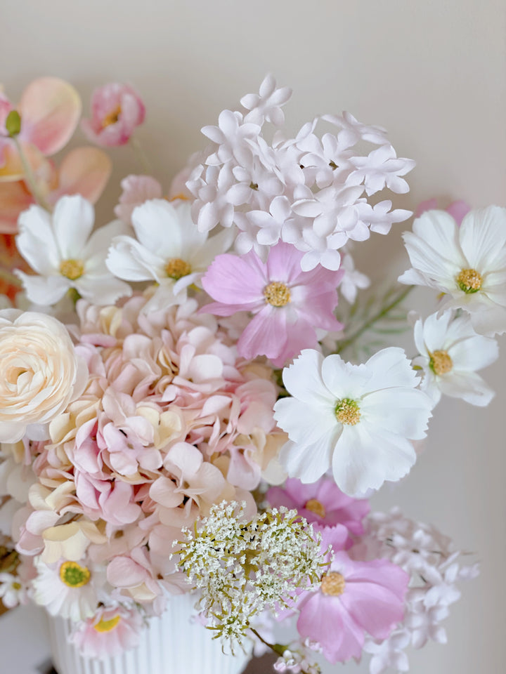 Garden Cosmos Flowers (5 colours)