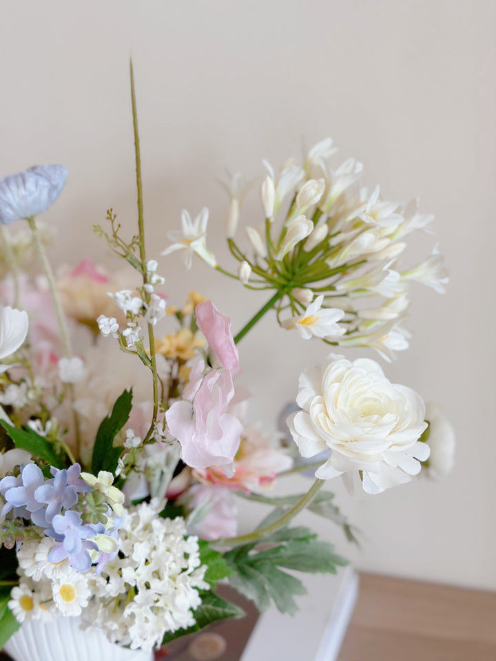 Garden Cosmos Flowers (5 colours)