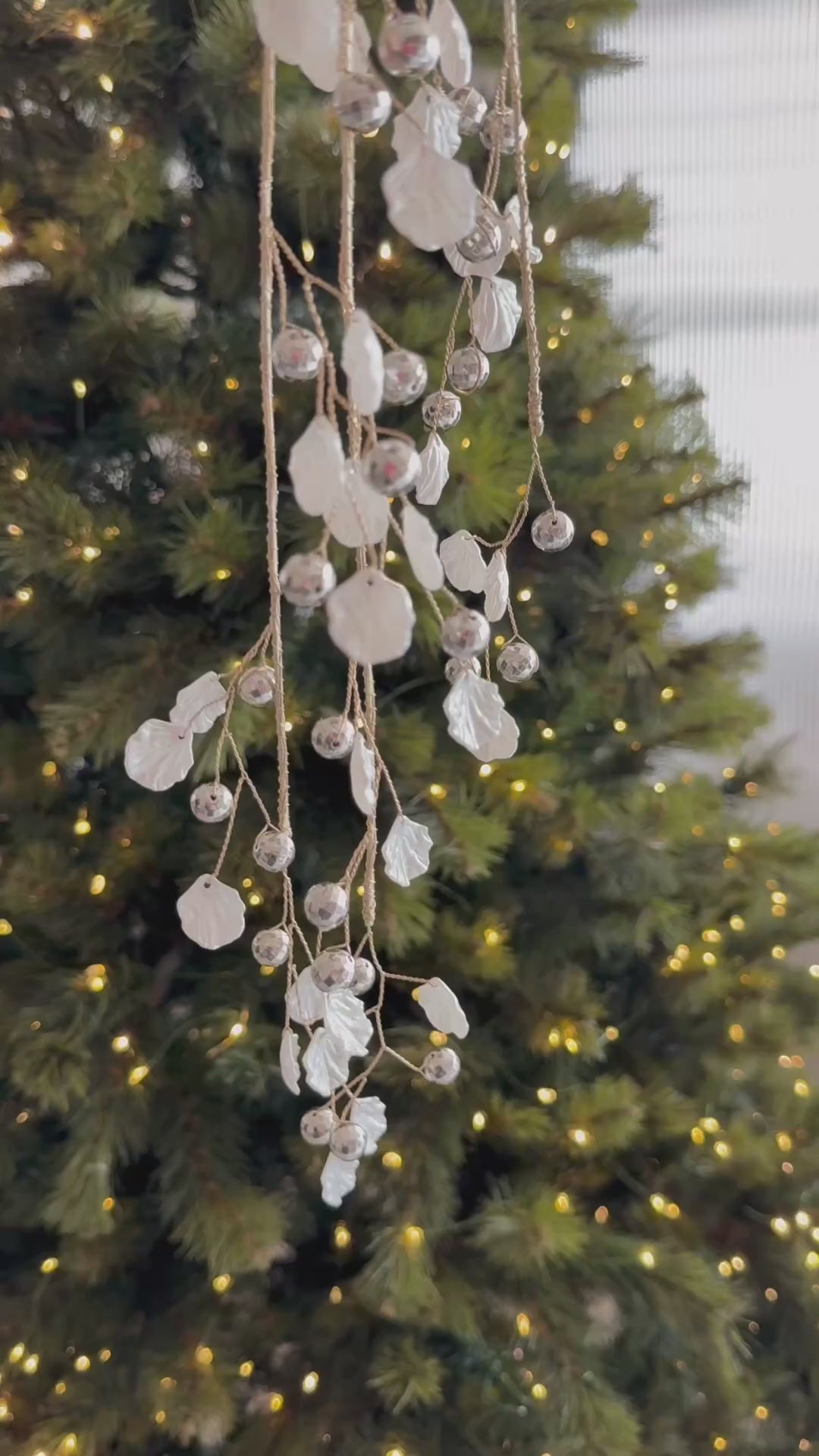 Champagne Shell Disco Branch