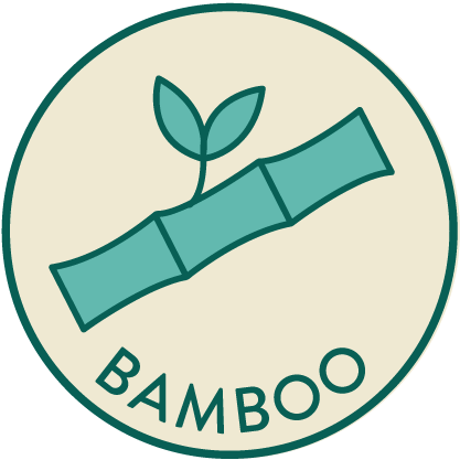 Bamboo T-Rex Plate