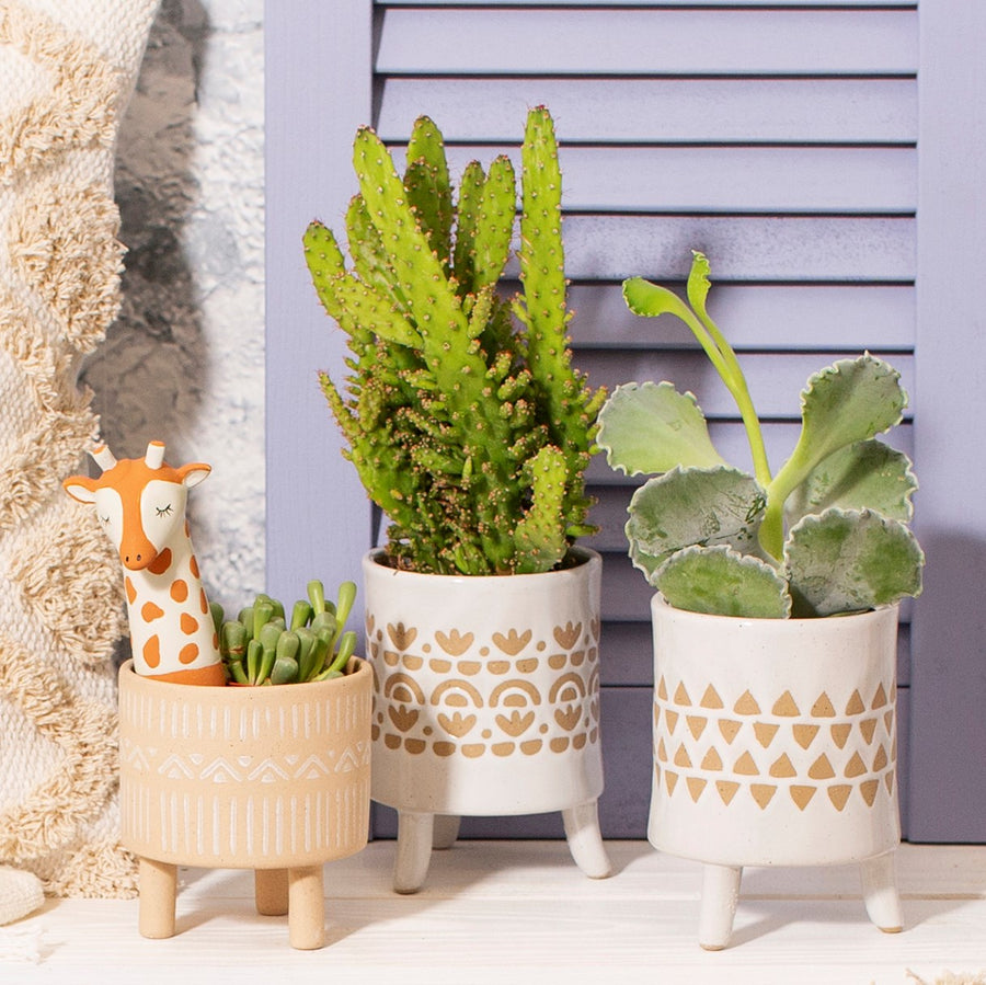 Isabella White Leggy Planter, Planter, Sass & Belle - 3LittlePicks