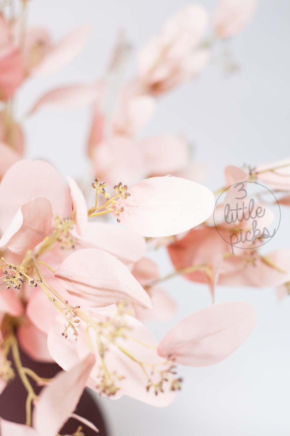 Blush Pink Eucalyptus Foliage Stems, Decor, 3littlepicks - 3LittlePicks