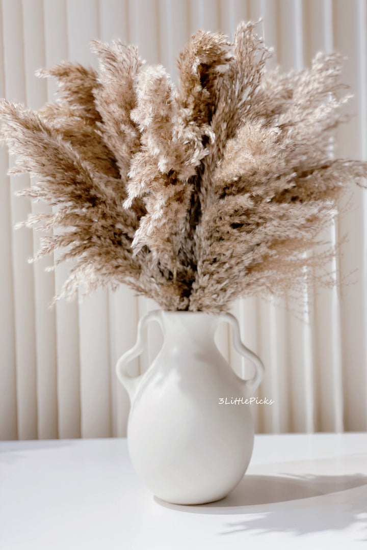 2 Handles Vintage Big Tummy Vase - Cream White (2 sizes)