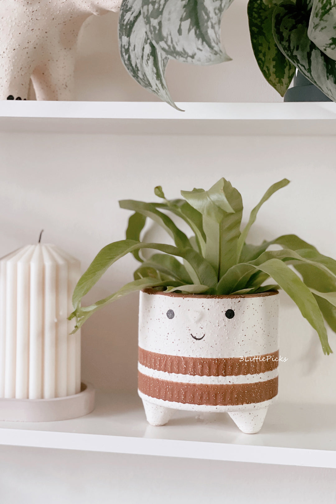 Smiley Face Planter
