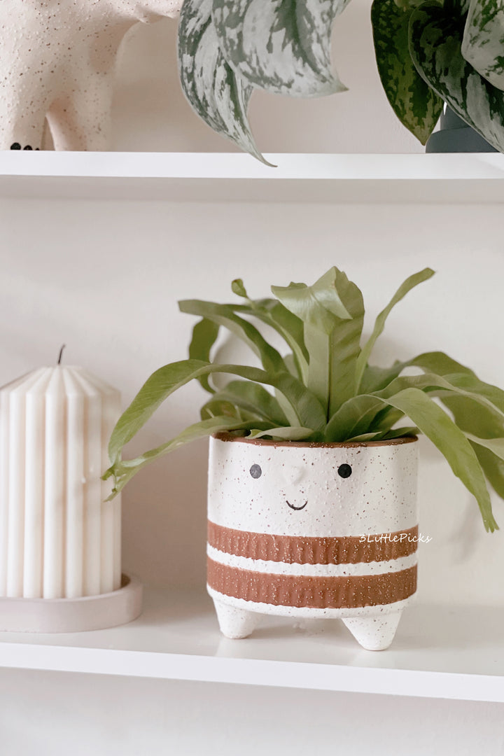 Smiley Face Planter