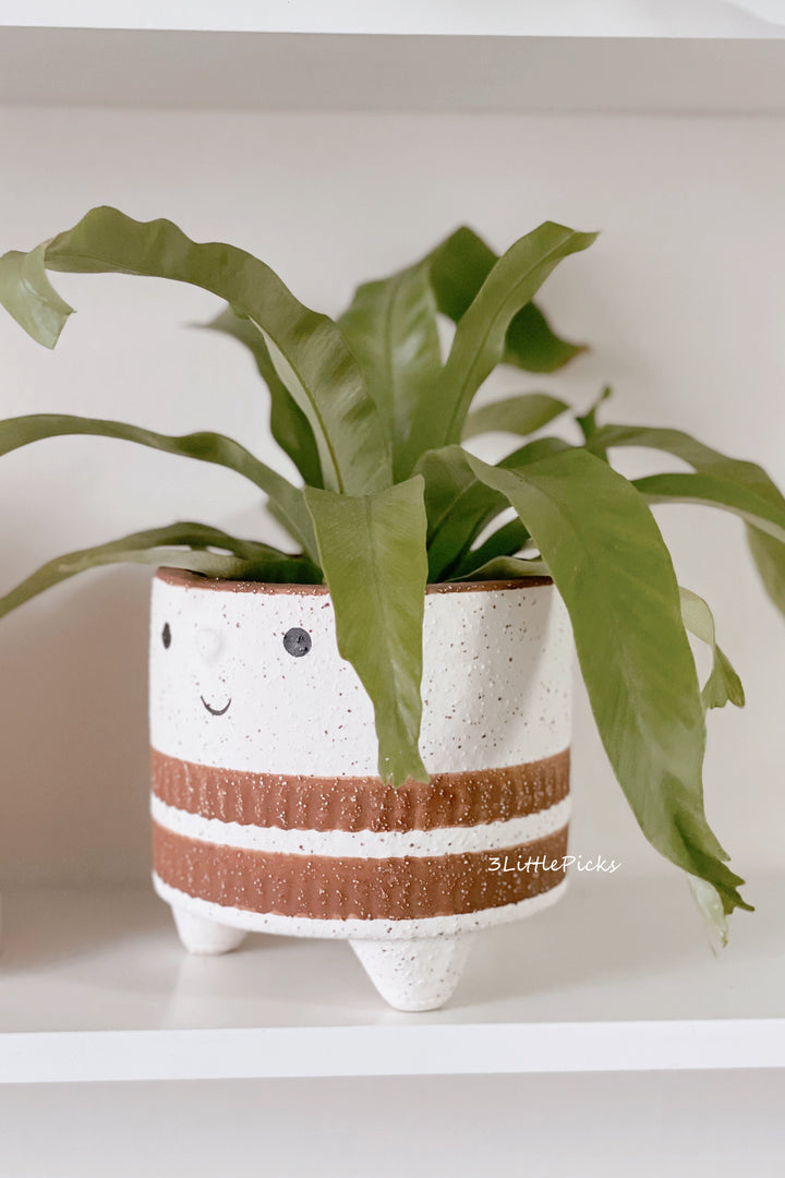 Smiley Face Planter