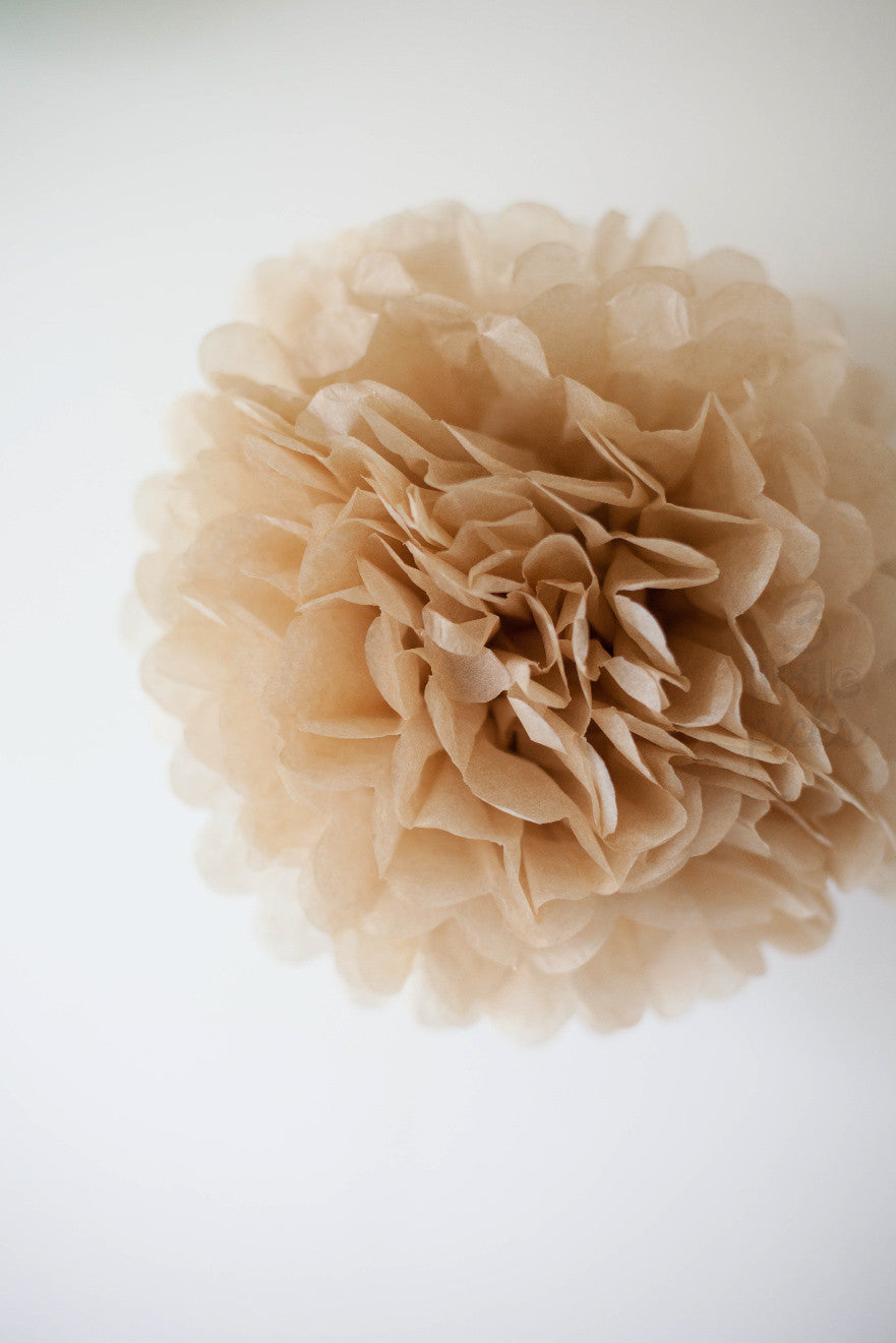 Party Pom Pom (35cm), Partyware, 3littlepicks - 3LittlePicks