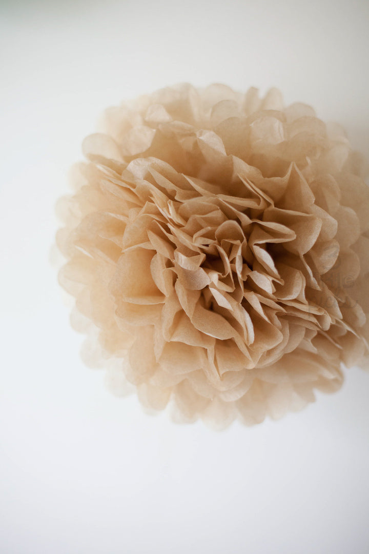 Party Pom Pom (35cm), Partyware, 3littlepicks - 3LittlePicks