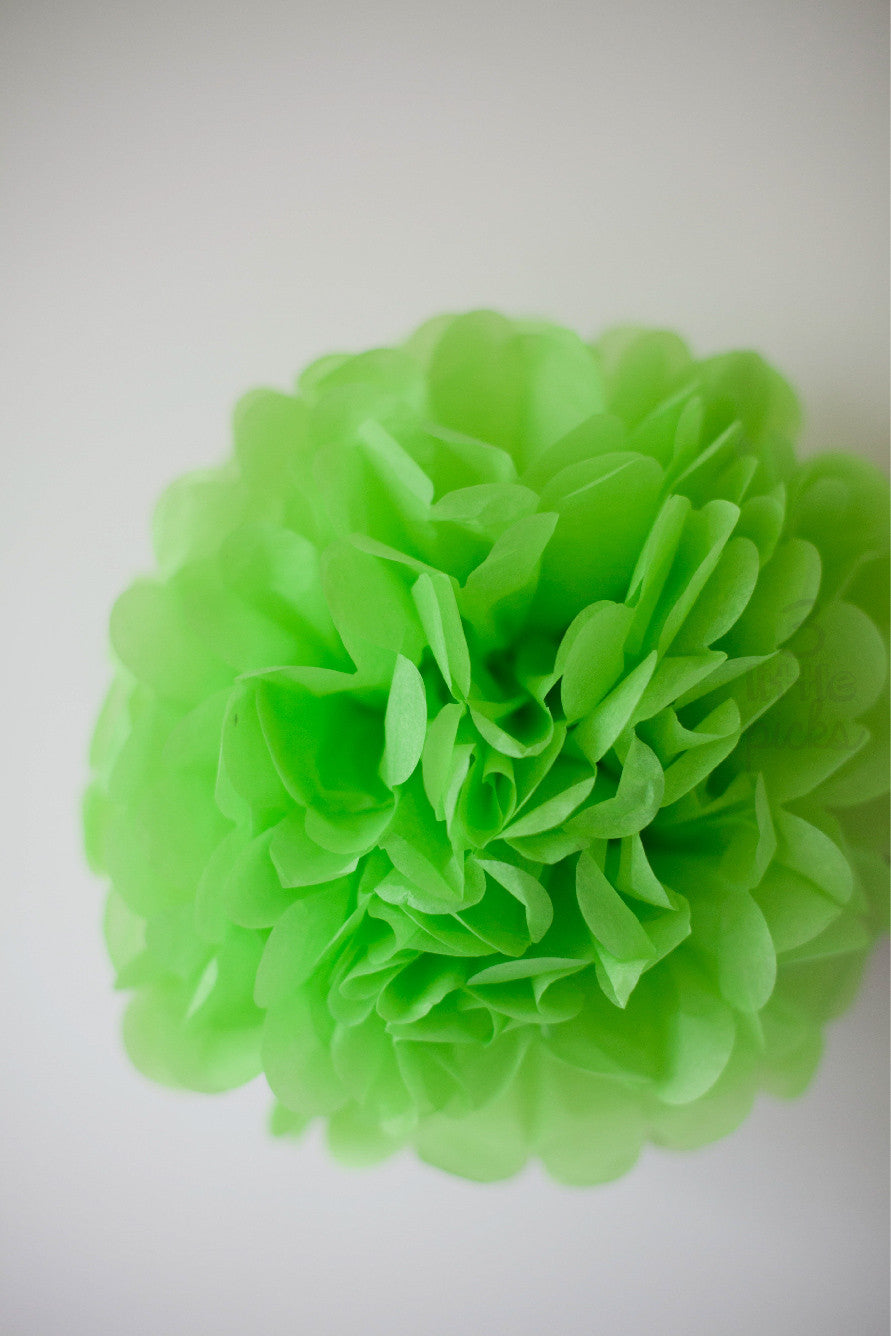 Party Pom Pom (35cm), Partyware, 3littlepicks - 3LittlePicks