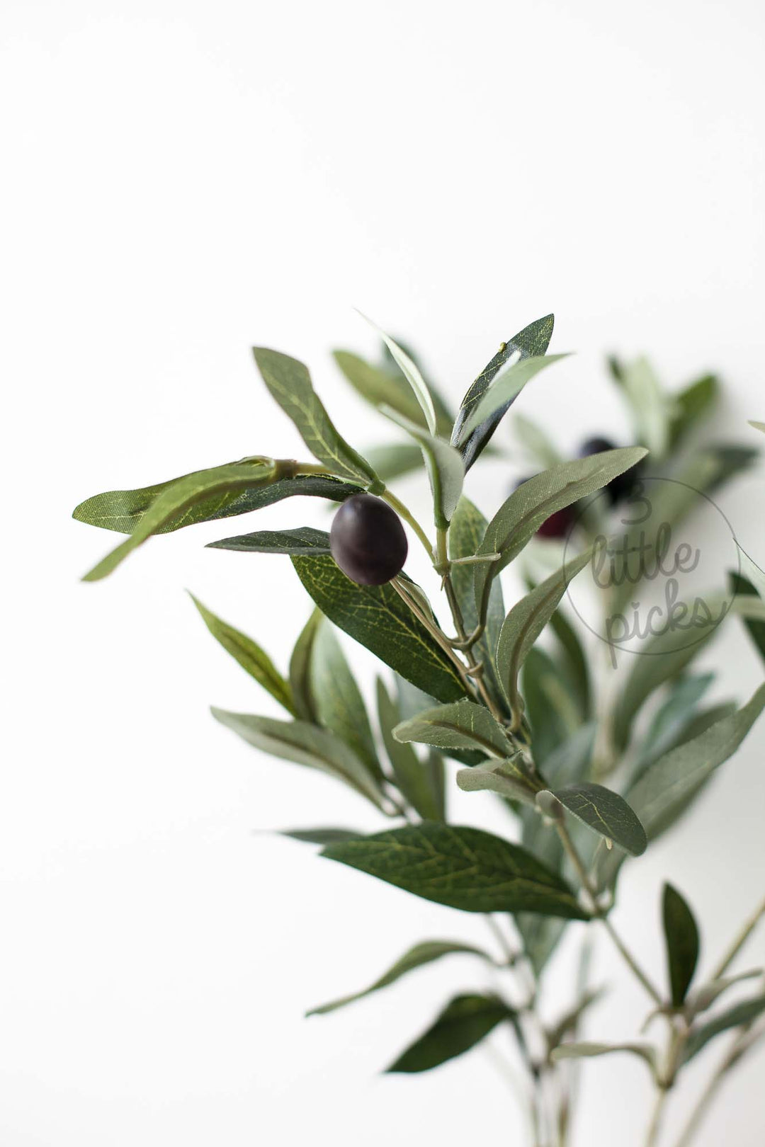 Olive Branches, Decor, 3littlepicks - 3LittlePicks