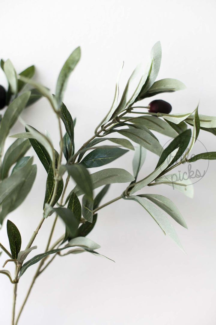 Olive Branches, Decor, 3littlepicks - 3LittlePicks