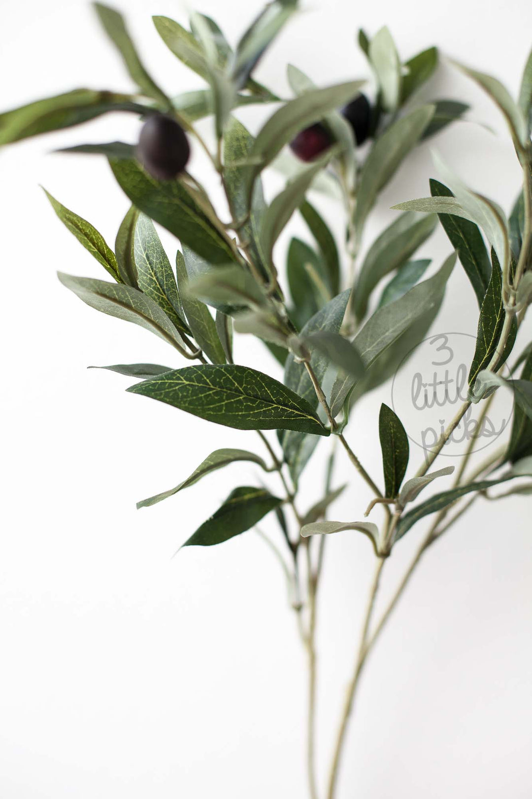 Olive Branches, Decor, 3littlepicks - 3LittlePicks