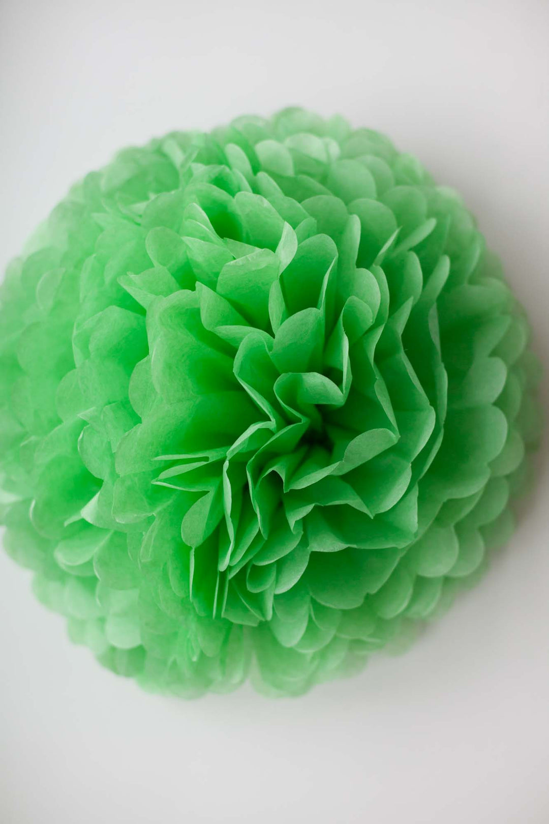 Party Pom Pom (35cm), Partyware, 3littlepicks - 3LittlePicks