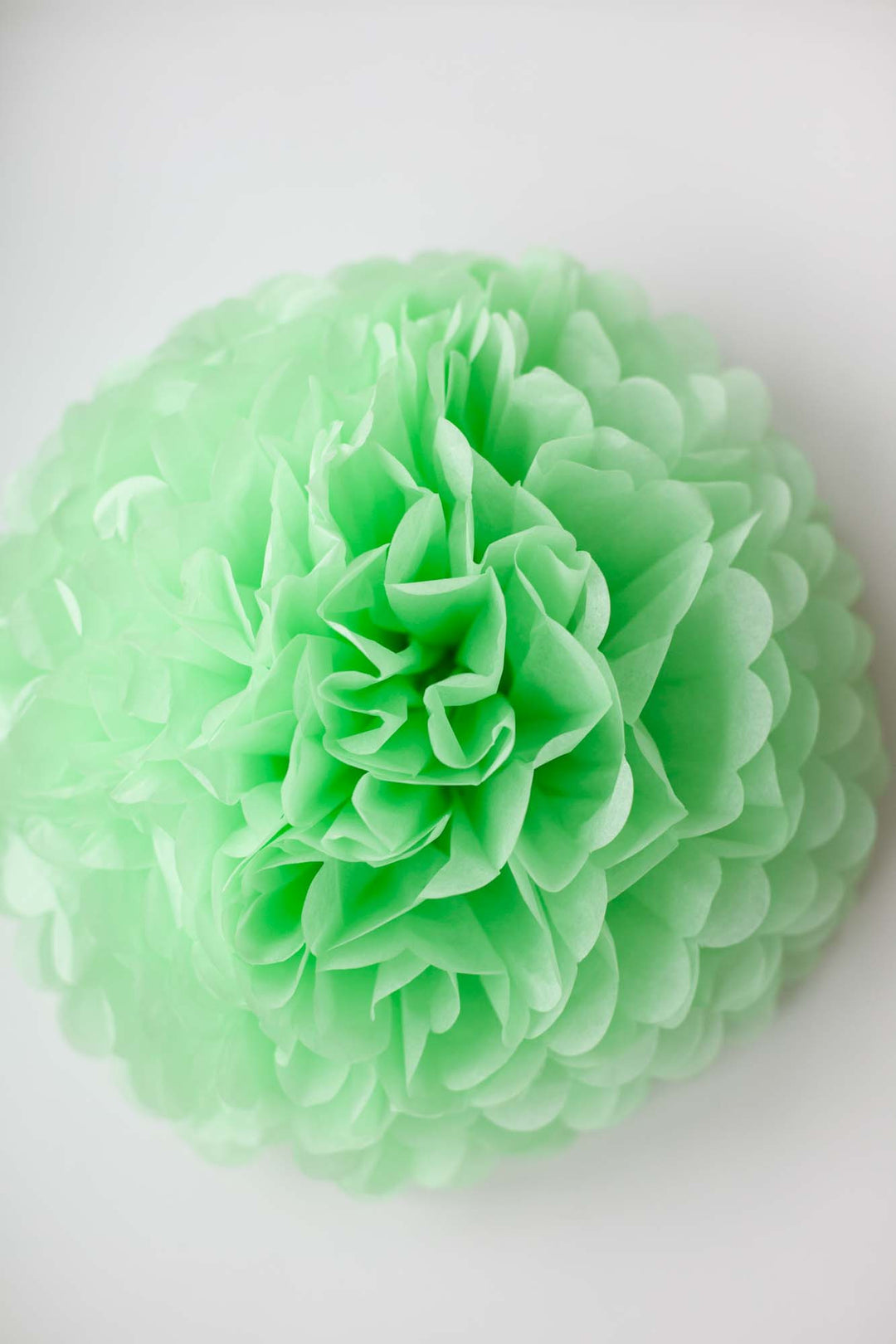 Party Pom Pom (35cm), Partyware, 3littlepicks - 3LittlePicks