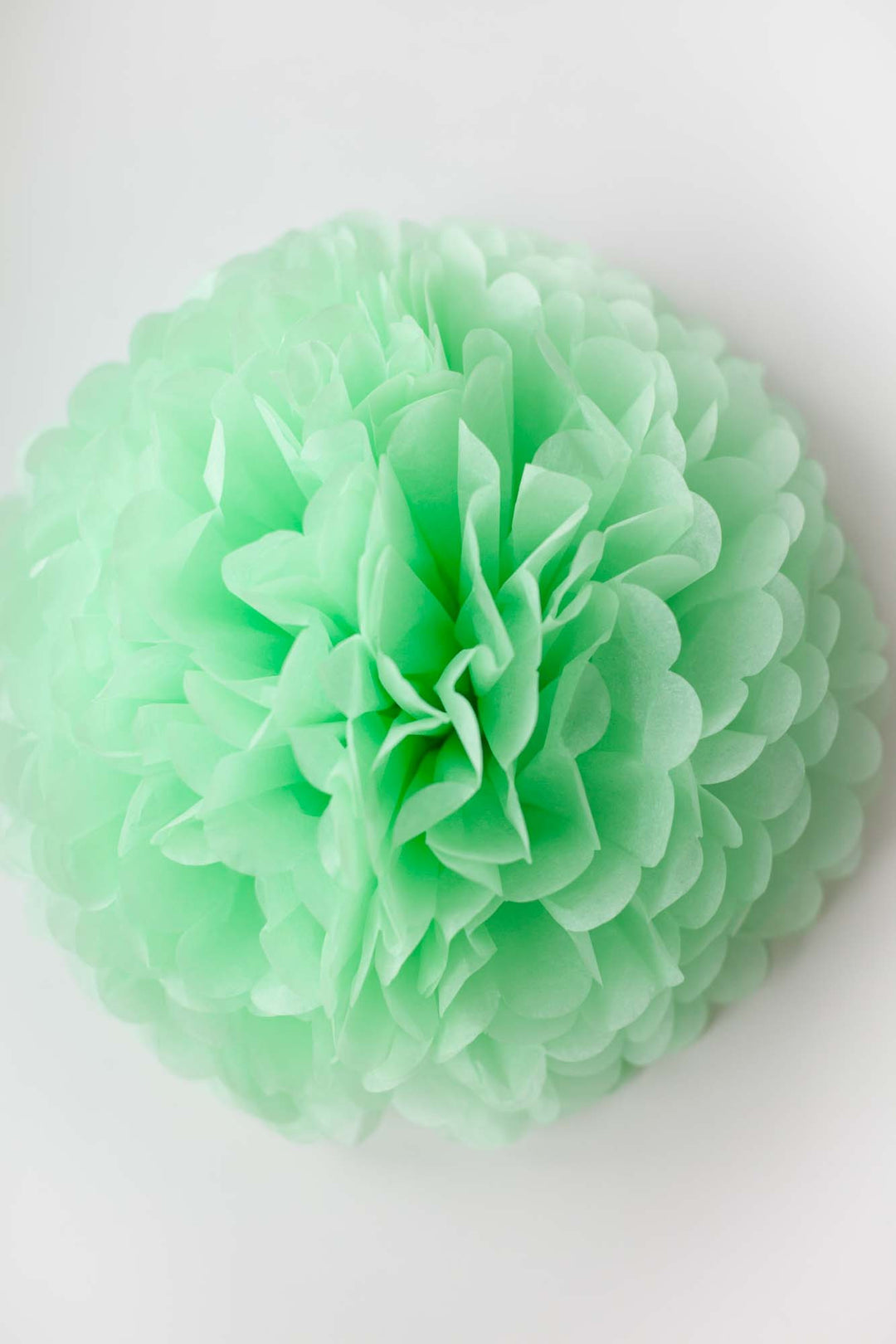 Party Pom Pom (35cm), Partyware, 3littlepicks - 3LittlePicks
