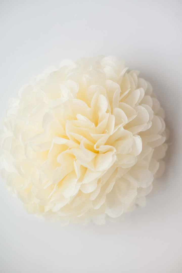 Party Pom Pom (35cm), Partyware, 3littlepicks - 3LittlePicks