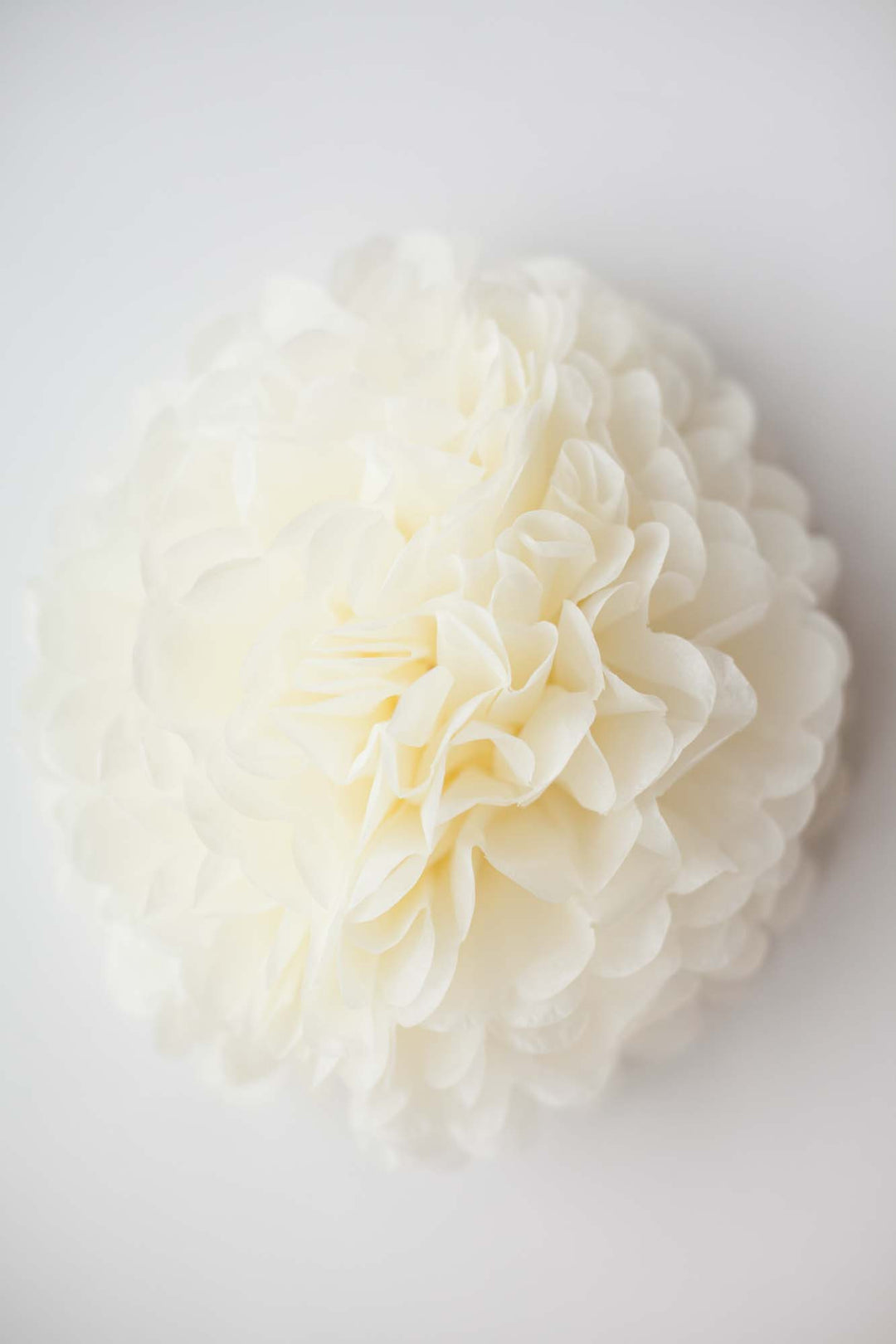 Party Pom Pom (35cm), Partyware, 3littlepicks - 3LittlePicks