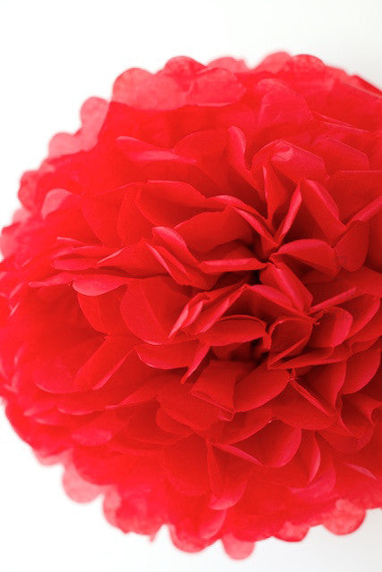 Party Pom Pom (35cm), Partyware, 3littlepicks - 3LittlePicks