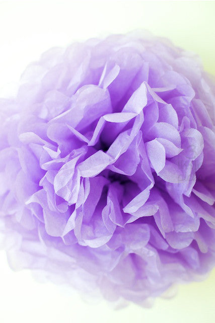 Party Pom Pom (35cm), Partyware, 3littlepicks - 3LittlePicks