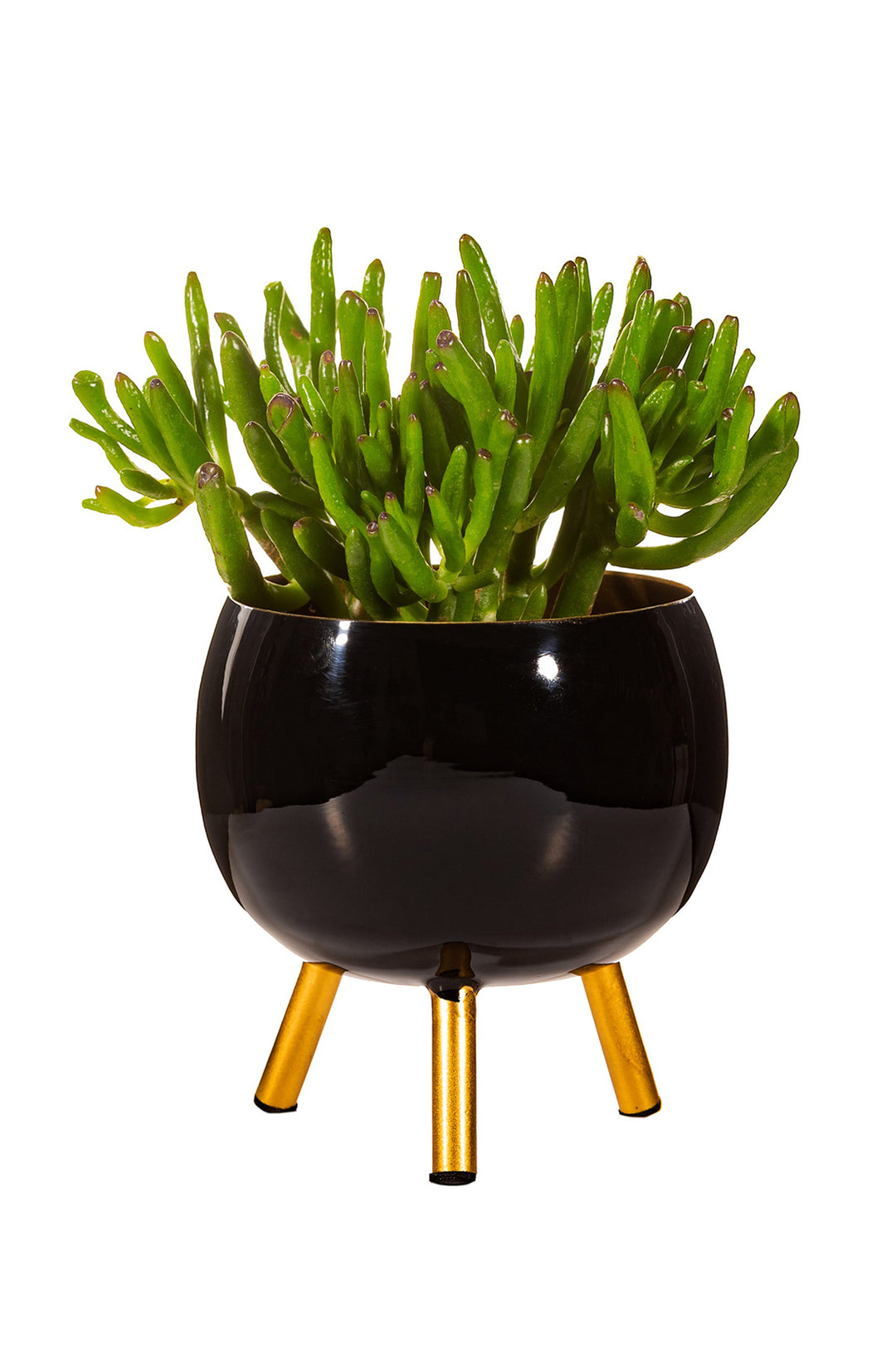 Black Metal Planter on Legs Medium