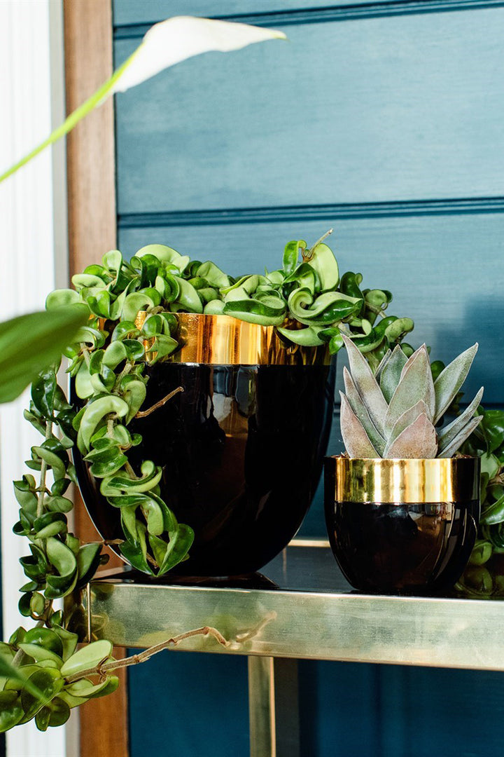 Polished Gold & Black Metal Planter Medium