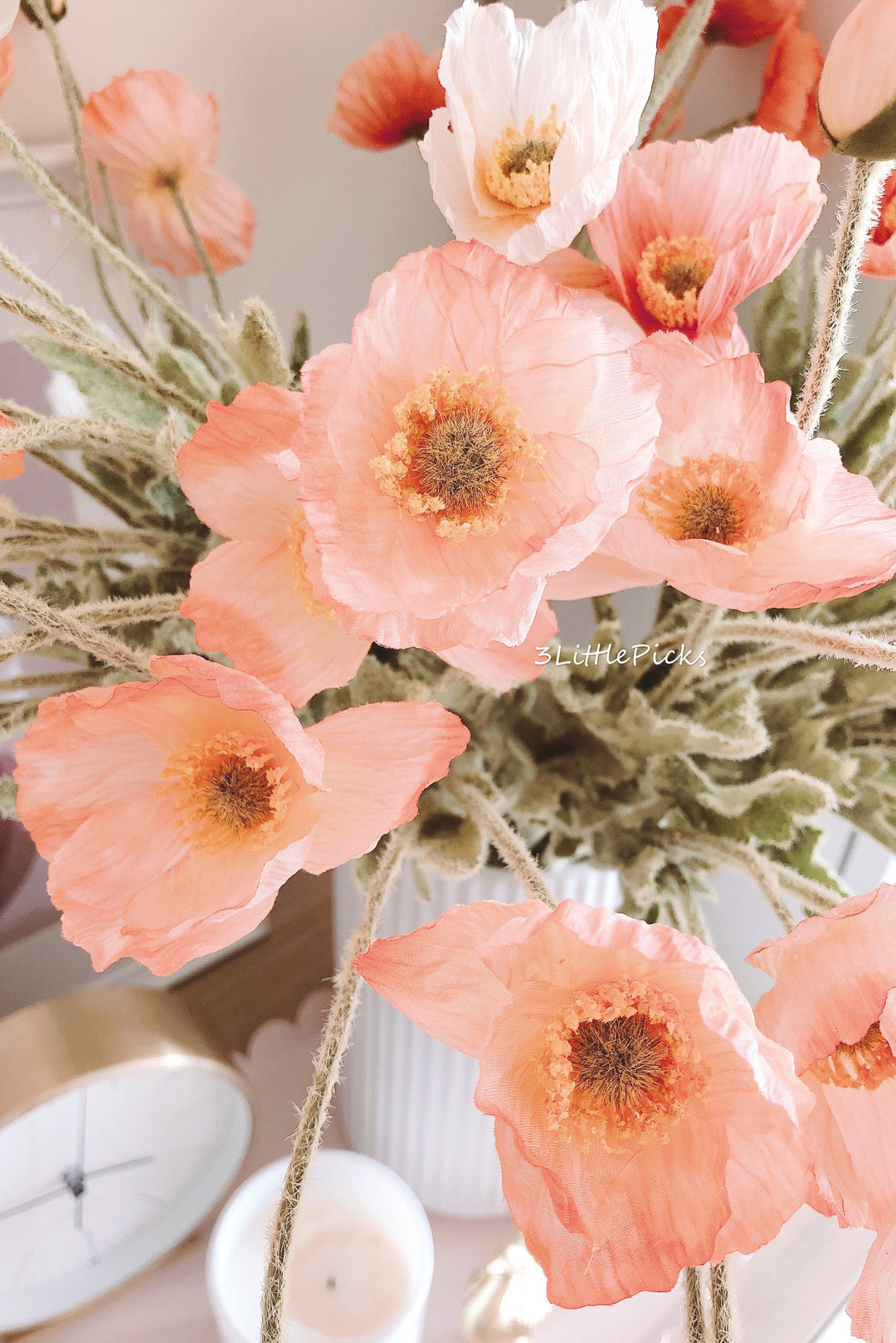Coral Poppy