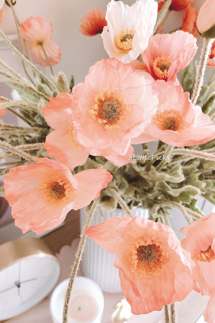 Coral Poppy